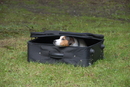 Trickdog